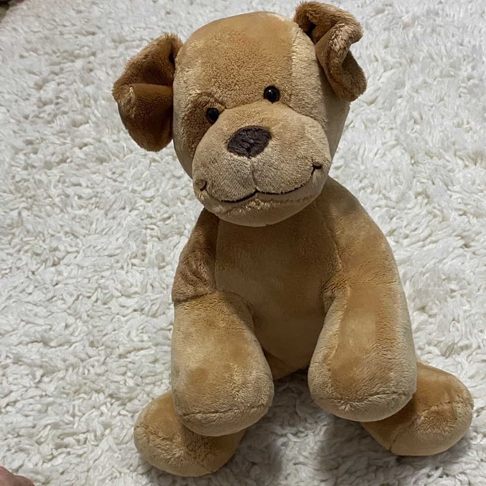 Build-A-Bear BAB Plush / stuffed puppy dog ¥